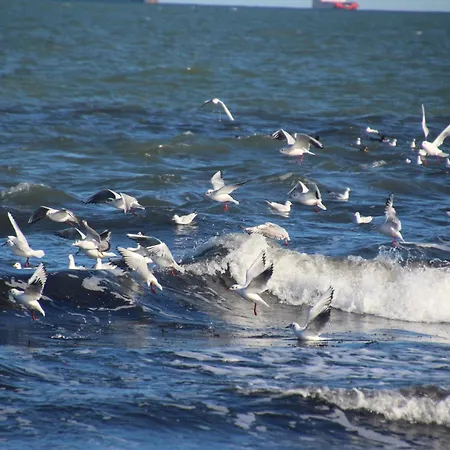 Semesterbostad Feha Ankerplatz