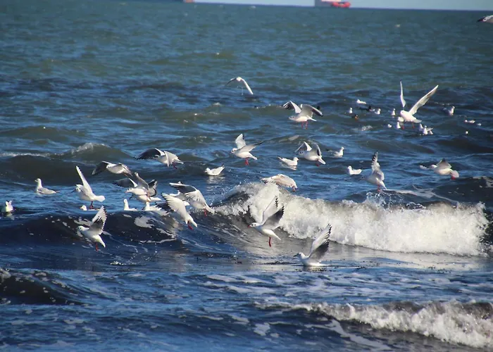 Σπίτι διακοπών Feha Ankerplatz